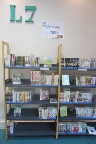 Fonds Mangas Jeunesse